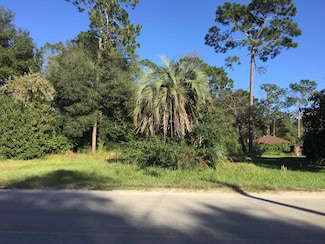 676 W Peniel Rd, Palatka, FL 32177