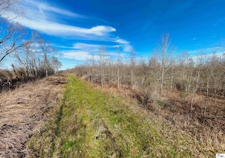 000 Bonnie Sue Rd, Oak Grove, LA 71263