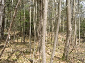 0 Short Falls Rd, Chichester, NH 03258