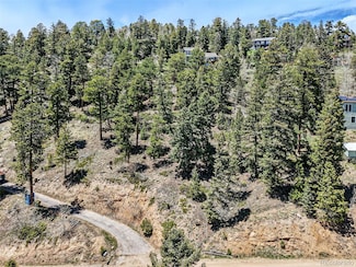 11618 Nichols Way Unit 23, Conifer, CO 80433