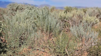 VL Lots 7 8 Block 1202 Unit T, Rio Communities, NM 87002