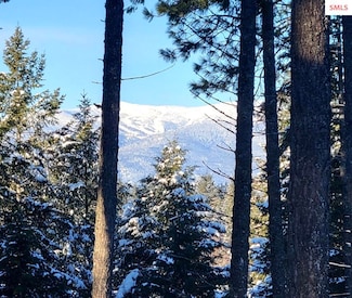 NNA Wildflower Way Blk 3 Lot 9, Sandpoint, ID 83864