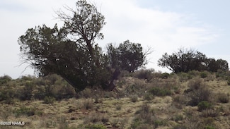 64 S Laguna Dr, Williams, AZ 86046
