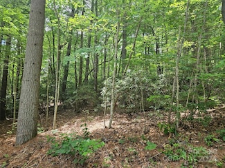 000 Hawk Mountain Rd, Lake Toxaway, NC 28747