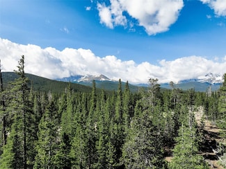Homestead 21 Cumberland Dr, Breckenridge, CO 80424