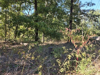 0 Midhurst Ln Unit 1326303, Bella Vista, AR 72715