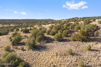 48065 N Steve Ln, Ash Fork, AZ 86320