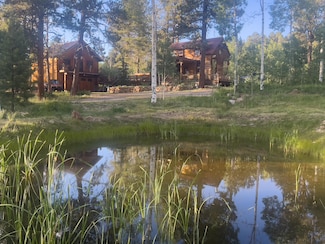 515 Bristol Rd, Placerville, CO 81430