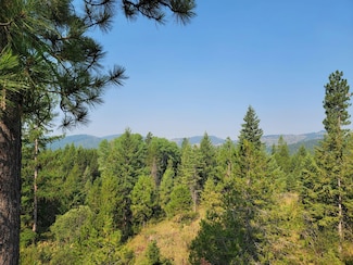 0 Hesseltine Rd, Valley, WA 99181