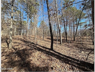 000 Whispering Pines Ln, Licking, MO 65542
