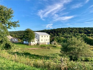 168 Monson Rd, Edmeston, NY 13335