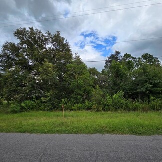 0 Nutmeg St Unit MFRJ981434, Orlando, FL 32833
