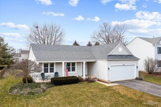 333 Persimmon Ln Unit 1, Oswego, IL 60543