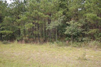0 Edgehill Avera Rd Unit 325526, Edgehill, GA 30810