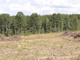 Lot 17 Summer City Rd, Evensville, TN 37332
