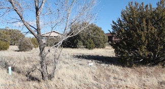 601 S Rock Ridge Dr, Show Low, AZ 85901