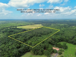 0 County Road 3203, Daingerfield, TX 75638