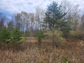 V/L S 132nd Ave, Shelby, MI 49455