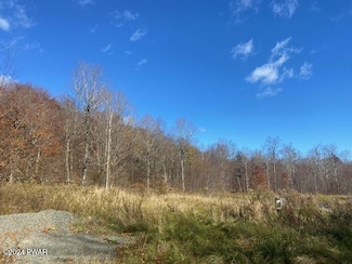 0 Rotten Rd, Manchester Township, PA 18417