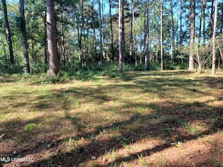 Nhn Cheryl Ln, Lumberton, MS 39455