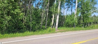 00 Ellsworth Rd, Ellsworth, MI 49729