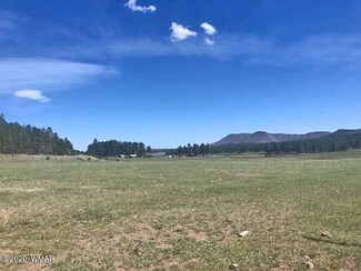 004B County Rd 2107, Alpine, AZ 85920