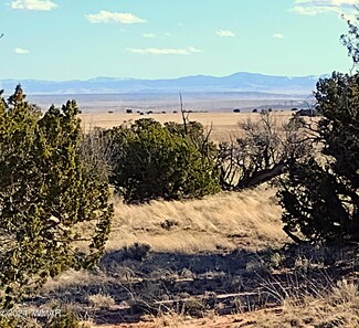 L-11 & 47 Carrizo Ranch, St. Johns, AZ 85936