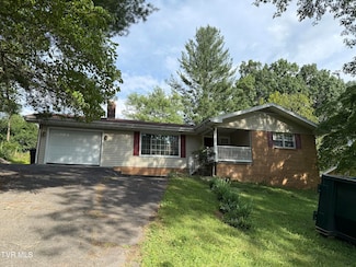 195 Pineview Dr, Bristol, VA 24201