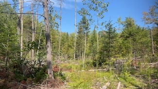 TBD Wakefield Rd, Newfield, ME 04095