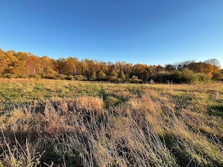 0 Sand Ridge Rd Unit 25486493, Scipio Township, OH 45710