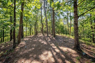 0 Burlingame Rd Unit 23788270, Little Rock, AR 72223