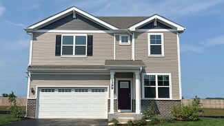 1399 Tiger Lily Dr, Bartlett, IL 60103