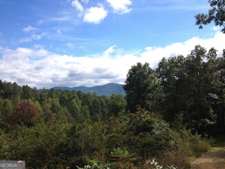 0 the Hills Ln Unit 88 10316686, Blairsville, GA 30512