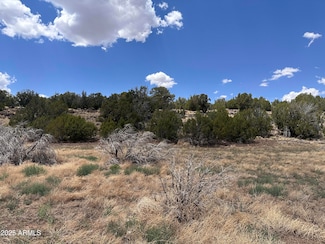 13 Acr 8122 -- Unit 438, Concho, AZ 85924