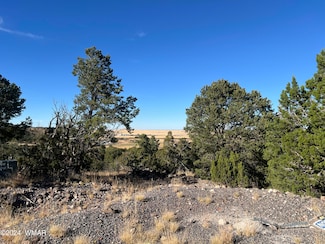 0 Skyline Dr, Eagar, AZ 85925