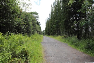 17-4531 South Rd, Kurtistown, HI 96760