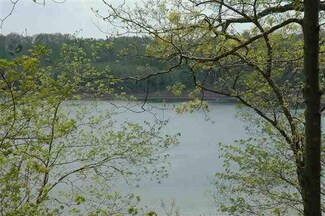 2228 Ramp Rd, Austin, KY 42123