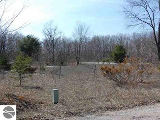 00 E Shetland Trail Unit 3, Cedar, MI 49621