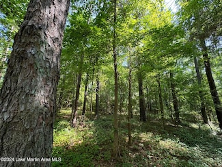 17+/- Acre 8th St SW, Lanett, AL 36863