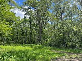 Lots 50,51,68,69 Innsbruck Trail, Jenner Township, PA 15547