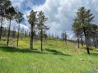 181 & 182 Consuelo Ct, Rociada, NM 87742