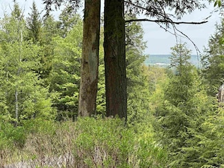 Lot 16 Casentino Ct, Davis, WV 26260