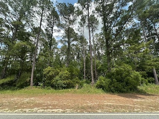 0 Sardis Church Rd, Moultrie, GA 31788