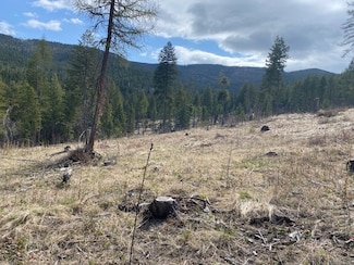 1040 Spring Hill Rd, Kila, MT 59920