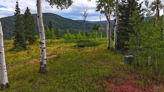 TBD Baker Creek Ct, Cuchara, CO 81055