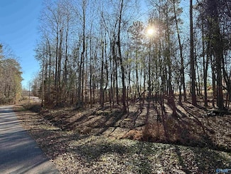 5 Nancy Cove, Southside, AL 35907