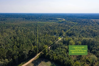 0 Half Acre Ct, Vance, SC 29163