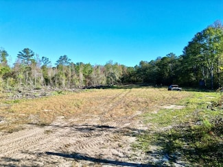 0 County Rd, Troy, AL 36081