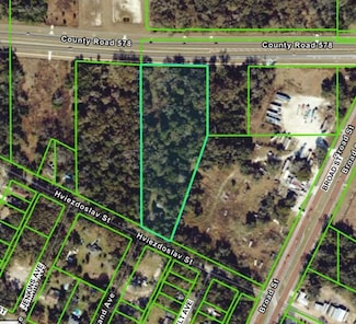 16407 Hviezdoslav St, Brooksville, FL 34604