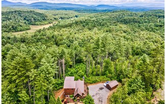 173 Brooks Ridge Rd, Mineral Bluff, GA 30559